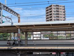 小田原駅から新幹線で名古屋へ
インバウンド客で新幹線ホームはローカルな小田原感がなくなっていました。
車内も指定席の半分以上がインバウンド客