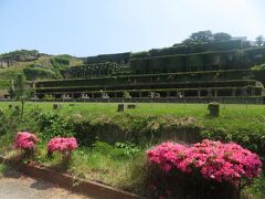 北沢浮遊選鉱場跡。昭和13年～27年まで稼働していた巨大建築物遺構。こちらは入場無料。