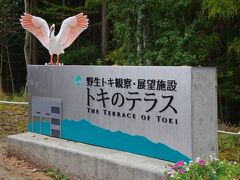 「トキのテラス」にやって来ました。野生トキ観察・展望施設です。
