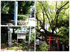靱公園