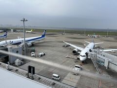 羽田空港到着。
広すぎてキャッキャッします。
さすが！