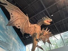 ワーナーブラザーズスタジオツアー東京ｰメイキング・オブ・ハリー・ポッター