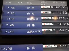 羽田空港(東京国際空港)
