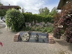 30分くらいで到着。
わくわくします！