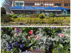 ホテル「KKRポートヒル横浜」は港の見える丘公園に隣接しており、常に美しい花々を楽しむことができます。akikoさんの浜松への出発時間が迫っていたので、急いでホテルに戻ることにしました。最初の予定ではakikoさんと別れた後に、一人でこちらへ来る予定だったので、時間が空きました。akikoさんも港の見える丘公園まで見れて、心残りはなさそうで良かった♪