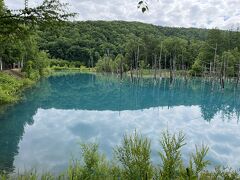 １時間ほどで青い池に到着。

本当に青くてびっくりです！
滞在時間は30分。
「あまり遠くに行っても綺麗に見えないですよ！」とガイドさんが現実的なアドバイス。
