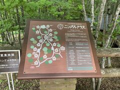 無事駐車場近くまで戻ってきたのでニングルテラスをお散歩します。