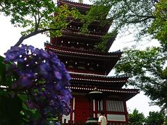 松戸の本土寺に行き