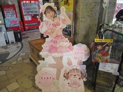 岩下の新ショウガでキャラクターになっている大食いタレントのもえあずこともえのあずきチャンです。
