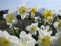 下車駅をどうするか、中之条駅かその一つ先の群馬原町駅か
どちらも渋川から30分前後
原町からは辛うじてバスが出ている
本数は極めて少ないうえに、降車バス停から会場までそこそこ歩く
一方、中之条駅からはタクシーの一択

というわけで原町で下車して駅前に停車中の“バス”に乗るが、ワンボックスだった(笑)
乗客は我々のみ