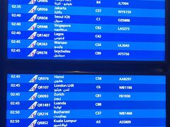 ～5日目～

カタールのハマド国際空港へ到着。