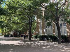 ■メルボルン大学 (The University of Melbourne)

オーストラリア屈指の名門大学であるメルボルン大学のキャンパスを訪問。

構内は大学関係者ではなくても自由に散策できます。

構内にはオーストラリアらしくユーカリの木が植えられていて、ユーカリの良い香りがしました。
