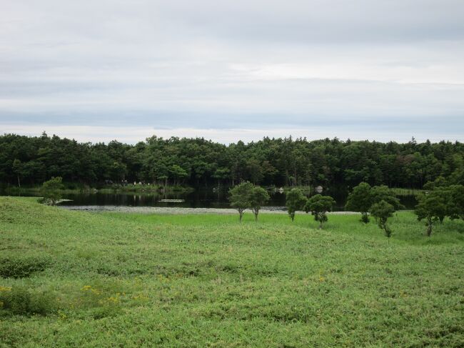 【8/16(火)天気：曇りのち雨】<br />&quot;知床五湖～羅臼～美幌&quot;<br /><br />前日朝が早かったのか、それともバンガローで寝心地が良かったのか、朝7時を過ぎても、まだ子供たちと妻は起きないようで。<br /><br />テント撤収の手間もないのに、この日の出発は9時を回る。<br />まずは、知床五湖へ。