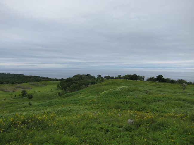 【知床五湖と知床連山。右側に見えるのが高架木道】<br /><br />その高架木道は、1湖しか見ることができません。<br />まー、時間もおしてたから、それでも良かったんだけど、湖見るのに有料とは、はてさてどうしたものか。<br /><br />前回訪れた10年前とは状況が一変してて、ビックリしたよ。<br />世界遺産って、大変なんすねー。保全には賛同できるけど…