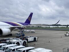 今回は奮発してタイ国際航空で向かいます。航空券は往復7.8万円でした。
10:50成田空港発です。
