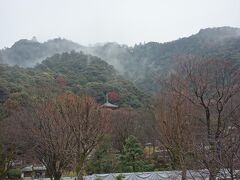 見上げる岐阜城。今日は雨なのでやめておきます。
さきほどの案内所で「歩いたら２５分くらいでしょうか」と聞いたら「１時間です」と言われました。