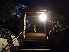 １年前から始まった夜間開園。
門に到着。