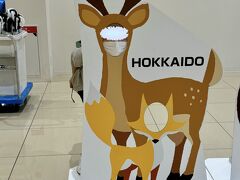 千歳を目指し、高速を走っていると車内の温度計が徐々に下がっていきました
天気も曇ってどんよりとしてきます
タイムズの新千歳空港営業所返却時は、18°Cまで下がってました
約１時間のドライブで季節が２ヶ月ほど戻ったようです
ここの営業所は沖縄那覇空港の営業所同様に大規模でした！

妻が最後に爪痕を残しました！