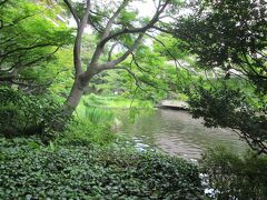 御殿山庭園　面積2000坪の緑豊かな公園です。池、茶室、滝ありで、桜、紅葉の名所でもあります　