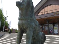9:53 秋田犬の里

大舘駅を出て右へ進むとある場所。
忠犬ハチ公像は渋谷駅にあるものが有名ですが、ここ大舘にもあります。
ハチは日本で一番有名な秋田犬ではないでしょうか。
