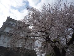 小田原桜まつり