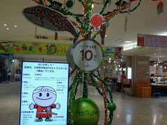 ハルネ小田原
