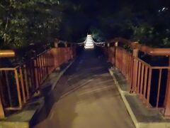 照度を上げて撮影。