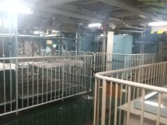 南極観測船ふじの見学。