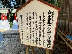 白山神社　地図で見ると遠いのかな？と思いましたが
旧覆堂からぐるっと道なりに歩けばたどり着きました
そんなに遠くはなかったです
干支ごとにお社があるので家族の干支分お参りしておきましょう
