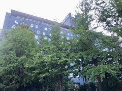 朝早く起きて、中島公園を散歩しました。