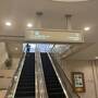 2024年7月奈良でシカと大仏様に会いに行く旅