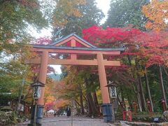比叡山ドライブウェイを出た後は大津へ降りて坂本の日吉大社へ。全国の日吉・日枝・山王神社の総本社です。紅葉の名所ということもありますが、国宝、重要文化財の建造物の宝庫ということで訪問しました。
