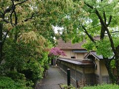 養浩館庭園に着きました。
かつては福井藩主松平家の別邸でした。