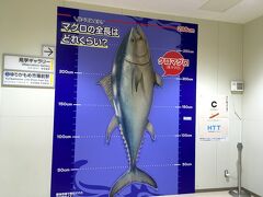 前回までに、江東区を舞台としたリアル宝探しを城東コース、深川コースをクリア。
今回は、区の南側が舞台となる、エクストラコースになります。
主に豊洲が捜索範囲で、まずチェックポイントの豊洲市場に行きました。
