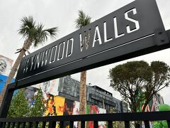 そんなウインウッド地区の中ほどにあるのが、この「ウインウッド・ウォールズ(Wynwood Walls)」。