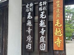車でちょっと行ったところに毛越寺があります
広ーいお庭をぐるっと一周しましたよ
（宇治の平等院に行ってしまっているので・・・という感想）

