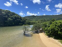 吹通川干潟