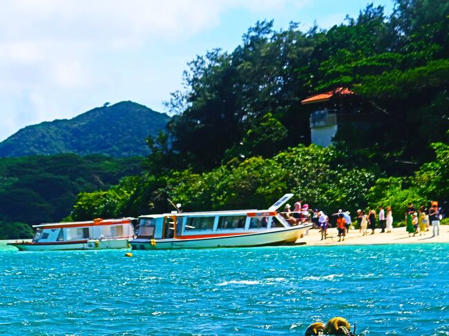 八重山24 川平湾グラスボート遊覧 サンゴ礁/海亀遭遇 ☆晴天微風/海上