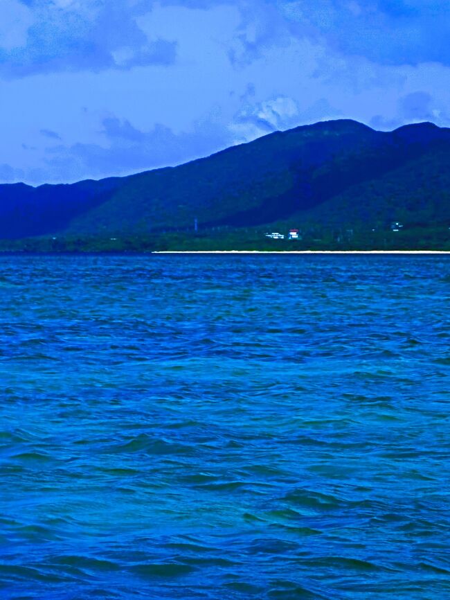 八重山24 川平湾グラスボート遊覧 サンゴ礁/海亀遭遇 ☆晴天微風/海上