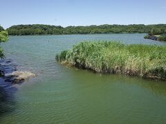 旅のはじまりは、佐鳴湖。