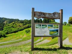 大山千枚田＼(^^)／