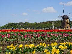 ●佐倉ふるさと広場

チューリップフェアが終われば、処分するのに大変だろうから、すごく良いシステムだと思いました。