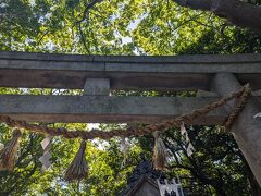 鳥居をくぐります～
宇賀神社へお参り。

帰宅後に知ったのだけれど
八百富神社の敷地内には
宇賀神社（商売繁盛）、大黒神社（商売繁盛）、千歳神社（長寿・勉学）、八大龍神社（家内安全・夫婦円満・厄除け） があって、それぞれ四柱の御祭神が祀られいる。
5つすべての神社を参拝すると、一度にたくさんの幸せが訪れると言われているって
全部お参りしてないわ・・。