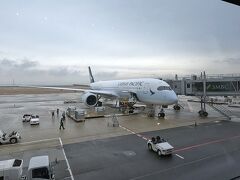 7時半からチェックイン。チェックインは備え付けの機械で自身でチェックイン。係員のビザの確認があって荷物も自分で預けるようになっている。そんなに混雑はしていない。保安検査も空いていた。日本人はほぼいない。外国人ばかりだ。10時関空発、13:25香港着。今回はLCCじゃないので機内食あり。

しばらく時間があるのでプライオリティパスの使えるChase Sapphire Loungeラウンジへ。ここは食事が高級だ。2時間ぐらいゆっくりして17:40香港発、22:20デリー着。40分ほど遅れた。