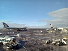 出発は1時間ディレイするも、到着は約45分遅れの10時頃オークランド到着。

入国審査はキオスクという機械でパスポートを読み取りと撮影？されるだけで通過。

NZは税関で食料品のチェックが厳しいと聞いていて、食品を持っていくのは断念したが、機内で貰ったお菓子と水を持ち込みたかったので申告し、全く問題なし。また、野外活動に使うトレッキングシューズなども申告必要あり、それらは何か、きれいか？聞かれたので洗って来たことを告げれば中を見せずにOKだった。しかし審査官によって対応は異なるかも。

②クライストチャーチ、デカポ湖、星空鑑賞に続く