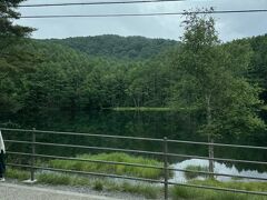 御射鹿池。
東山魁夷氏の作品《緑響く》のモチーフになったことで有名らしい。誰それ状態だった私が「あれ、この風景見たことがある」って思ったので、相当有名なんだろう。天気は曇りだったが風がほとんど無くて水面に背景が綺麗に写っているのがバスから見ても分かった。今度ゆっくり散策したいな。