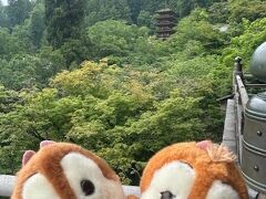 長谷寺 登廊