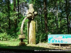 霧島アートの森