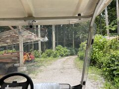 一関駅からはタクシーであじさい園へ。
園の駐車場が激混みという情報を得ていたので、タクシーで向かいました。

ラッキーなことにカートに乗れて出発～
日本一広いあじさい園とのことで、東京ドーム4個分の広さとのことですから徒歩で回ると足早でも1時間半はかかるとのことでしたから、これは本当にラッキーでした（予約可能という話が聞こえてきていました）。