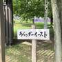 美瑛、富良野　ラベンダーとワインの旅②